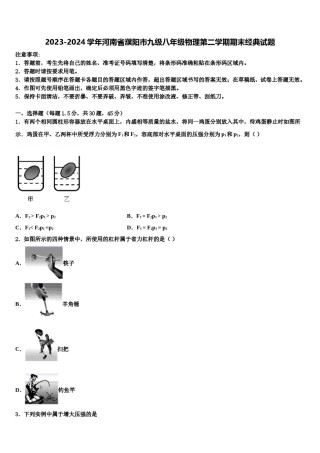 2023-2024学年河南省濮阳市九级八年级物理第二学期期末经典试题含解析.doc