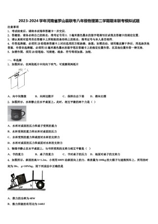2023-2024学年河南省罗山县联考八年级物理第二学期期末联考模拟试题含解析.doc
