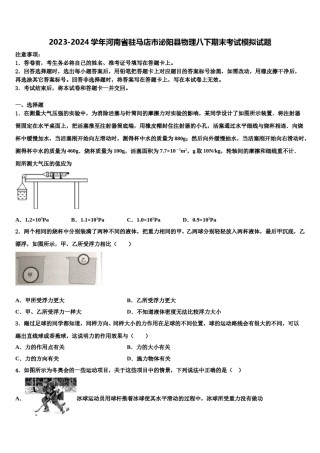 2023-2024学年河南省驻马店市泌阳县物理八下期末考试模拟试题含解析.doc
