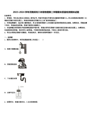 2023-2024学年河南郑州八年级物理第二学期期末质量检测模拟试题含解析.doc