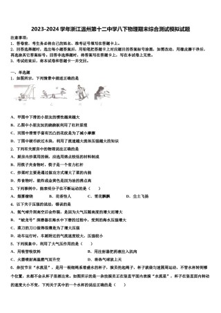 2023-2024学年浙江温州第十二中学八下物理期末综合测试模拟试题含解析.doc