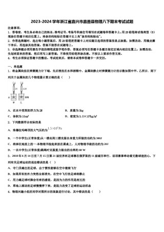 2023-2024学年浙江省嘉兴市嘉善县物理八下期末考试试题含解析.doc