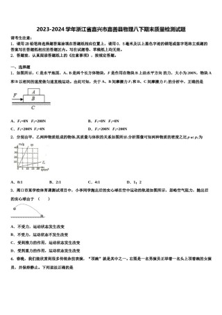 2023-2024学年浙江省嘉兴市嘉善县物理八下期末质量检测试题含解析.doc