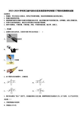 2023-2024学年浙江省宁波北仑区东海实验学校物理八下期末经典模拟试题含解析.doc
