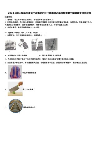 2023-2024学年浙江省宁波市北仑区江南中学八年级物理第二学期期末预测试题含解析.doc