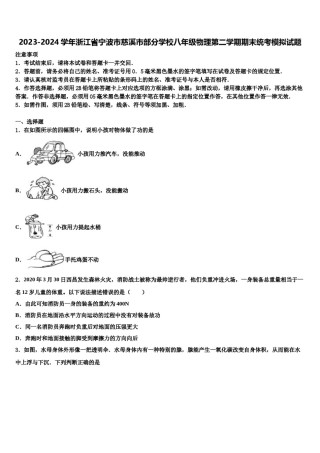2023-2024学年浙江省宁波市慈溪市部分学校八年级物理第二学期期末统考模拟试题含解析.doc