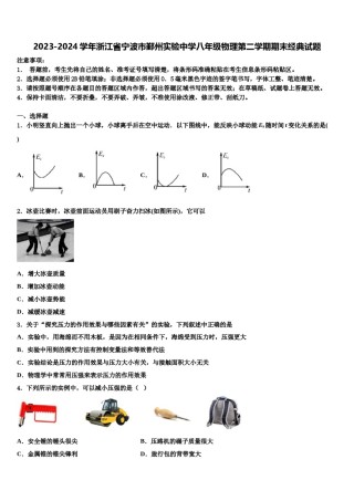 2023-2024学年浙江省宁波市鄞州实验中学八年级物理第二学期期末经典试题含解析.doc