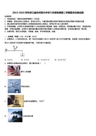 2023-2024学年浙江省杭州西兴中学八年级物理第二学期期末经典试题含解析.doc