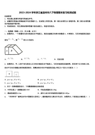 2023-2024学年浙江省温州市八下物理期末复习检测试题含解析.doc