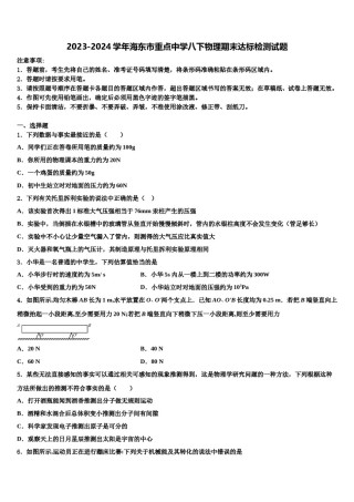 2023-2024学年海东市重点中学八下物理期末达标检测试题含解析.doc