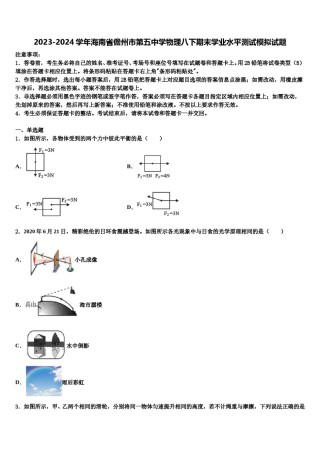 2023-2024学年海南省儋州市第五中学物理八下期末学业水平测试模拟试题含解析.doc