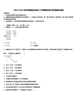 2023-2024学年海南省定安县八下物理期末复习检测模拟试题含解析.doc