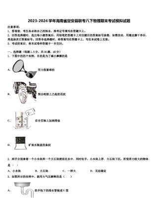 2023-2024学年海南省定安县联考八下物理期末考试模拟试题含解析.doc