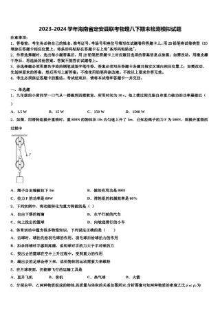 2023-2024学年海南省定安县联考物理八下期末检测模拟试题含解析.doc