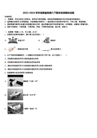 2023-2024学年海南省物理八下期末检测模拟试题含解析.doc