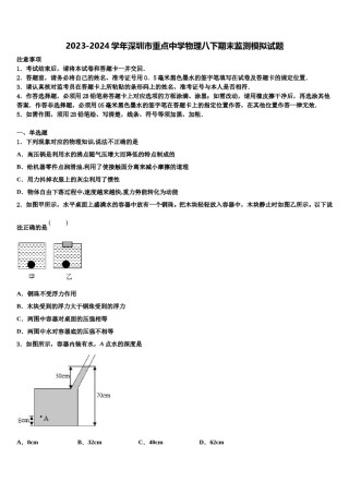 2023-2024学年深圳市重点中学物理八下期末监测模拟试题含解析.doc