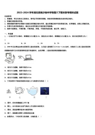 2023-2024学年湖北恩施沙地中学物理八下期末联考模拟试题含解析.doc