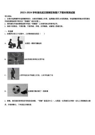 2023-2024学年湖北武汉黄陂区物理八下期末预测试题含解析.doc