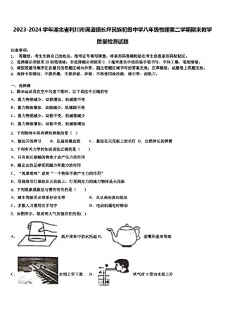 2023-2024学年湖北省利川市谋道镇长坪民族初级中学八年级物理第二学期期末教学质量检测试题含解析.doc