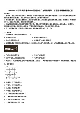 2023-2024学年湖北省咸宁市天城中学八年级物理第二学期期末达标检测试题含解析.doc