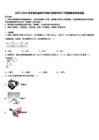 2023-2024学年湖北省咸宁市第六初级中学八下物理期末统考试题含解析.doc