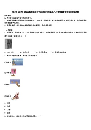 2023-2024学年湖北省咸宁市赤壁市中学小八下物理期末检测模拟试题含解析.doc