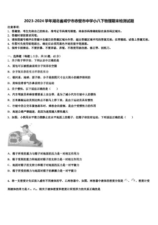 2023-2024学年湖北省咸宁市赤壁市中学小八下物理期末检测试题含解析.doc