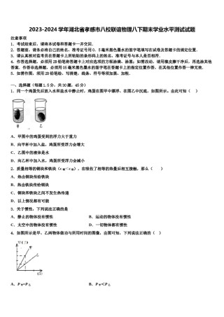 2023-2024学年湖北省孝感市八校联谊物理八下期末学业水平测试试题含解析.doc
