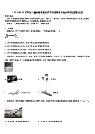 2023-2024学年湖北省孝感市名校八下物理期末学业水平测试模拟试题含解析.doc