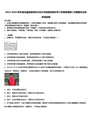 2023-2024学年湖北省恩施州利川市长坪民族初级中学八年级物理第二学期期末达标检测试题含解析.doc