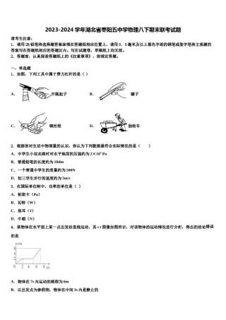 2023-2024学年湖北省枣阳五中学物理八下期末联考试题含解析.doc