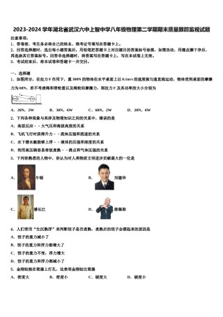 2023-2024学年湖北省武汉六中上智中学八年级物理第二学期期末质量跟踪监视试题含解析.doc