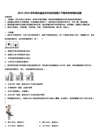 2023-2024学年湖北省武汉市名校物理八下期末统考模拟试题含解析.doc