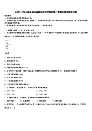 2023-2024学年湖北省武汉市新观察物理八下期末联考模拟试题含解析.doc