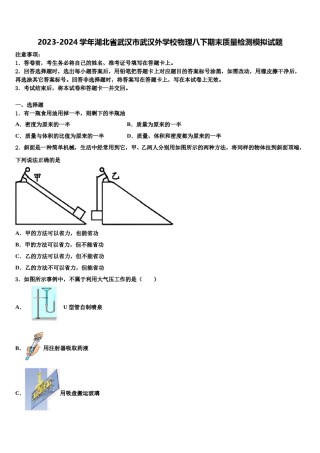 2023-2024学年湖北省武汉市武汉外学校物理八下期末质量检测模拟试题含解析.doc