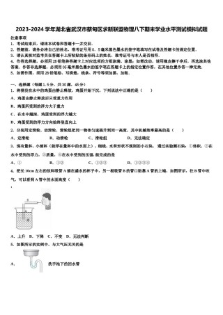 2023-2024学年湖北省武汉市蔡甸区求新联盟物理八下期末学业水平测试模拟试题含解析.doc