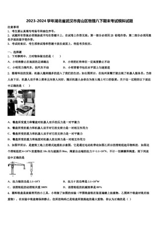 2023-2024学年湖北省武汉市青山区物理八下期末考试模拟试题含解析.doc