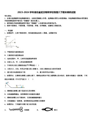 2023-2024学年湖北省武汉梅苑学校物理八下期末调研试题含解析.doc