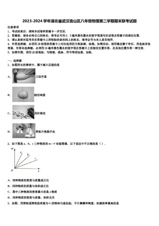 2023-2024学年湖北省武汉青山区八年级物理第二学期期末联考试题含解析.doc