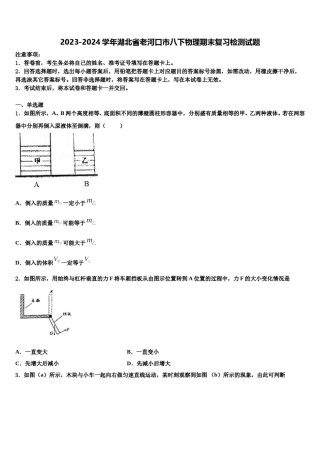 2023-2024学年湖北省老河口市八下物理期末复习检测试题含解析.doc