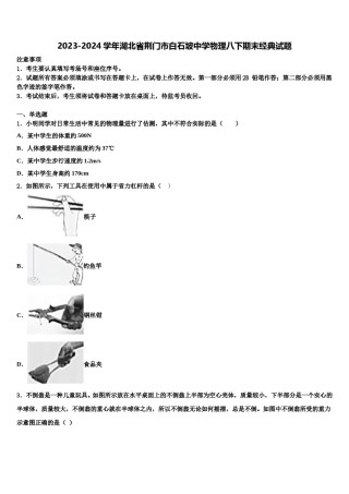 2023-2024学年湖北省荆门市白石坡中学物理八下期末经典试题含解析.doc