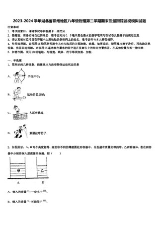2023-2024学年湖北省鄂州地区八年级物理第二学期期末质量跟踪监视模拟试题含解析.doc
