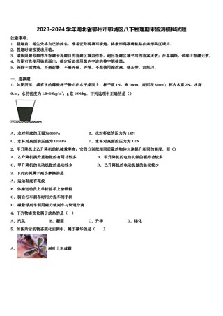 2023-2024学年湖北省鄂州市鄂城区八下物理期末监测模拟试题含解析.doc