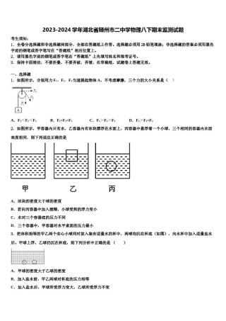 2023-2024学年湖北省随州市二中学物理八下期末监测试题含解析.doc