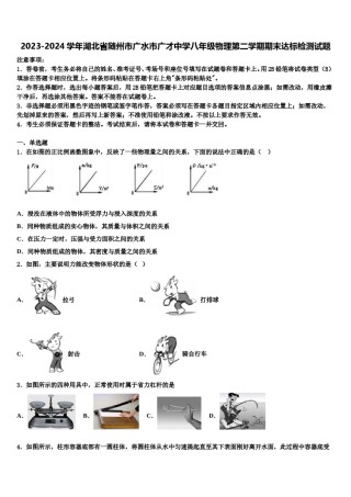 2023-2024学年湖北省随州市广水市广才中学八年级物理第二学期期末达标检测试题含解析.doc