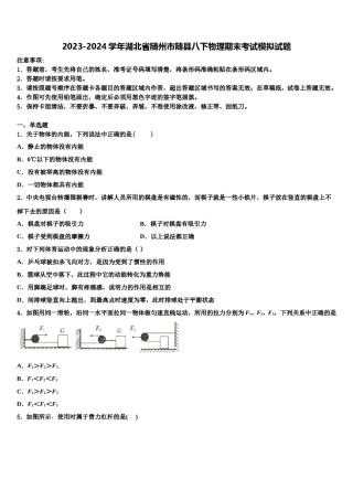2023-2024学年湖北省随州市随县八下物理期末考试模拟试题含解析.doc