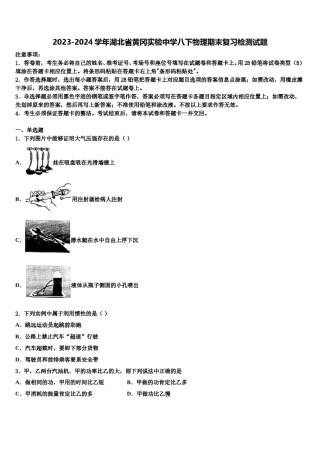 2023-2024学年湖北省黄冈实验中学八下物理期末复习检测试题含解析.doc