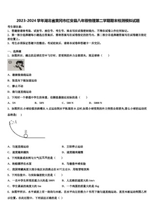 2023-2024学年湖北省黄冈市红安县八年级物理第二学期期末检测模拟试题含解析.doc