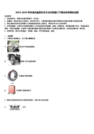 2023-2024学年湖北省黄石市大冶市物理八下期末统考模拟试题含解析.doc