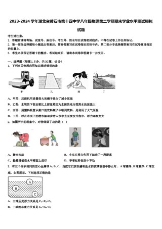 2023-2024学年湖北省黄石市第十四中学八年级物理第二学期期末学业水平测试模拟试题含解析.doc